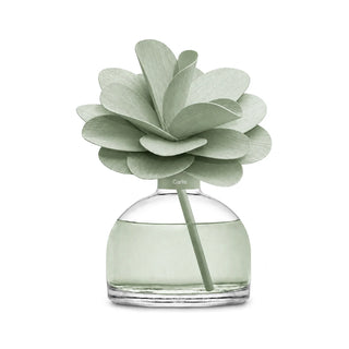 Diffusore Fiore Camelia 200ml - Carlis