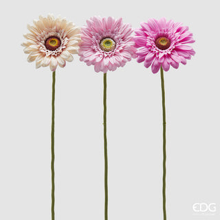 tre fiori di gerbera rosa