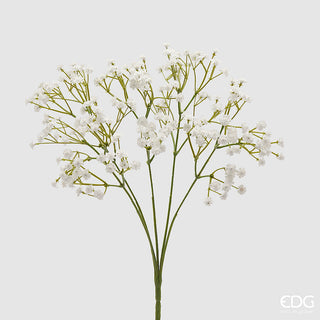 cespuglio di gypsophila bianco alto 40 cm