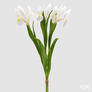 mazzo di iris bianco con  rami altezza 44 cm